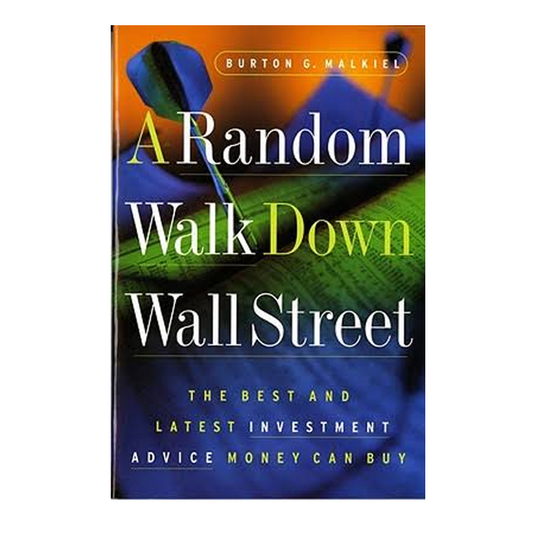 A Random Walk Down Wall Street PDF